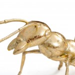 Gold Ant Polystone Sculpture