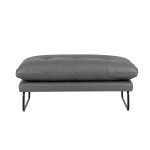 Karla Gray PU Leather Contemporary Loveseat and Ottoman