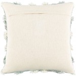 Surya Baracoa Ice Blue Pillow Cover 18"H X 18"W