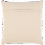 Surya Ethan Light Beige, Navy Pillow Cover 20"H X 20"W