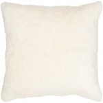 Surya Northland Cream Pillow Cover 20"H X 20"W