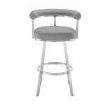 Nolagam Swivel Counter Stool in Brushed Stainless Steel