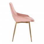 Heidi Blush Velvet Dining Accent Chair