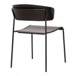 Zeph Black Wood and Metal Open Back Dining Chairs (Set of 2)