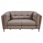 Primrose Contemporary Loveseat in Dark Metal Finish and Greige Genuine Leather