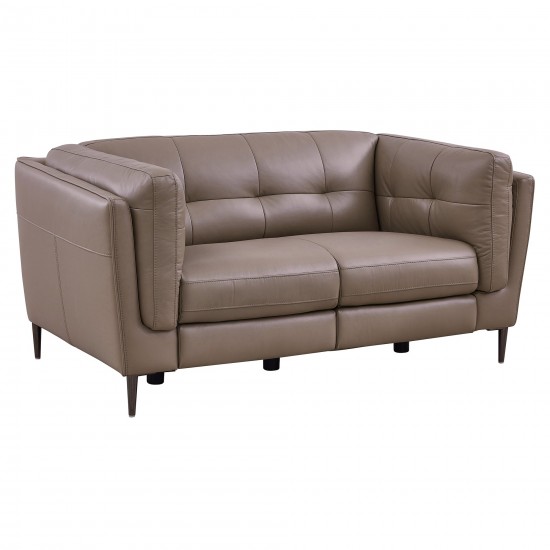 Primrose Contemporary Loveseat in Dark Metal Finish and Greige Genuine Leather