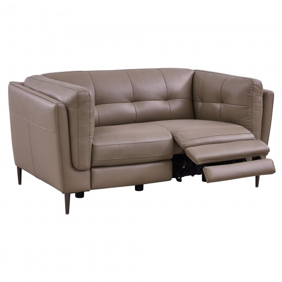 Primrose Contemporary Loveseat in Dark Metal Finish and Greige Genuine Leather