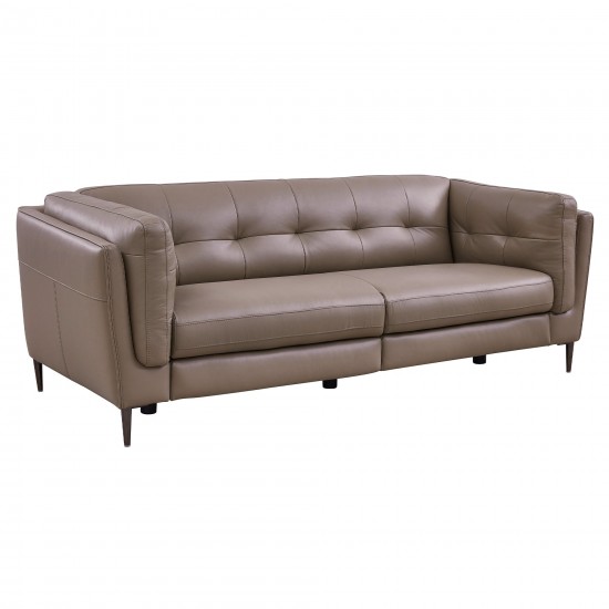 Primrose Contemporary Sofa in Dark Metal Finish and Greige Genuine Leather