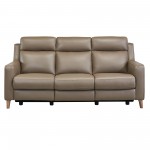 Wisteria Contemporary Sofa in Light Brown Wood Finish and Taupe Genuine Leather