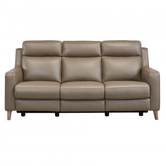 Wisteria Contemporary Sofa in Light Brown Wood Finish and Taupe Genuine Leather