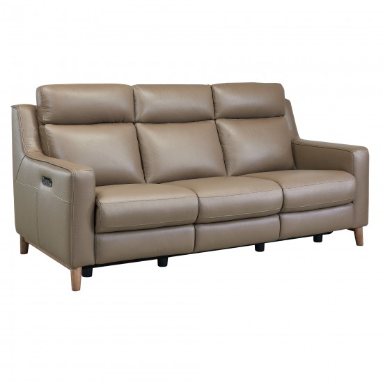 Wisteria Contemporary Sofa in Light Brown Wood Finish and Taupe Genuine Leather