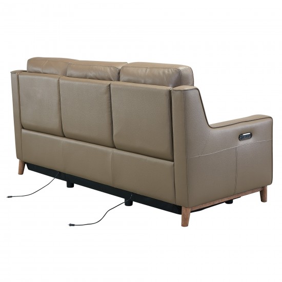 Wisteria Contemporary Sofa in Light Brown Wood Finish and Taupe Genuine Leather