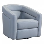 Desi Contemporary Swivel Accent Chair in Dove Gray Genuine Leather