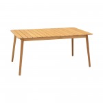 Nassau 5 piece Dining Set in Natural Wood Finish Table
