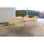 Nassau 5 piece Dining Set in Natural Wood Finish Table and Sage Green Arm Chairs