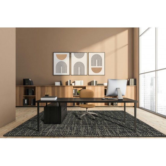 Attractive Choice 3'10" x 5'4" area rug in color Onyx