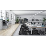 Stretched Thin 10'9" x 13'2" area rug in color Onyx