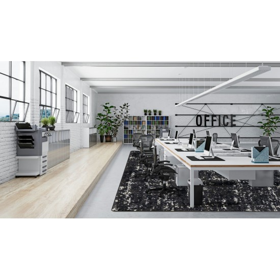 Stretched Thin 10'9" x 13'2" area rug in color Onyx