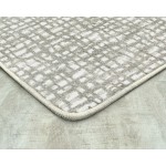 Fool's Gold 3'10" x 5'4" area rug in color Dove