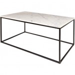 Surya Aryaa Yaa-001 Coffee Table 18"H X 22"W X 42"D