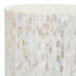 Surya Iridescent Isc-001 End Table 19"H X 13"W X 13"D
