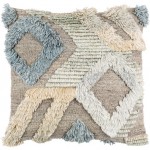 Surya Baracoa Gray, Light Beige Pillow Cover 20"H X 20"W