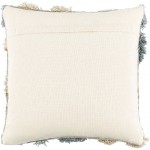 Surya Baracoa Gray, Light Beige Pillow Cover 20"H X 20"W