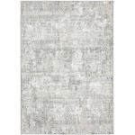 Addison Rugs Ansley AAS33 Gray 3\'2" x 5\'1" Rug