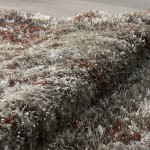 Addison Rugs Borealis OSBR31 Taupe 5'3" x 7'7" Rug