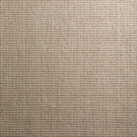 Addison Rugs Jaxon AJX33 Abalone 8' x 10' Rug