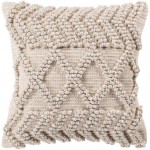 Surya Anders Cream Pillow Shell With Polyester Insert 22"H X 22"W