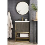 Columbia 24" Single Vanity, Ash Gray, Radiant Gold w/ White Glossy Composite Top
