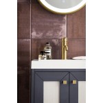 Chianti 20" Single Vanity Mineral Grey Radiant Gold w/White Glossy Composite Top