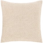 Surya Leif Ivory Pillow Shell With Down Insert 20"H X 20"W