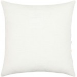 Surya Terra Ivory Pillow Shell With Polyester Insert 22"H X 22"W