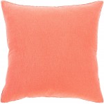 Surya Waffle Coral Pillow Shell With Down Insert 18"H X 18"W