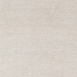 Surya Acacia Acc-2303 Light Gray Rug 2' X 3'