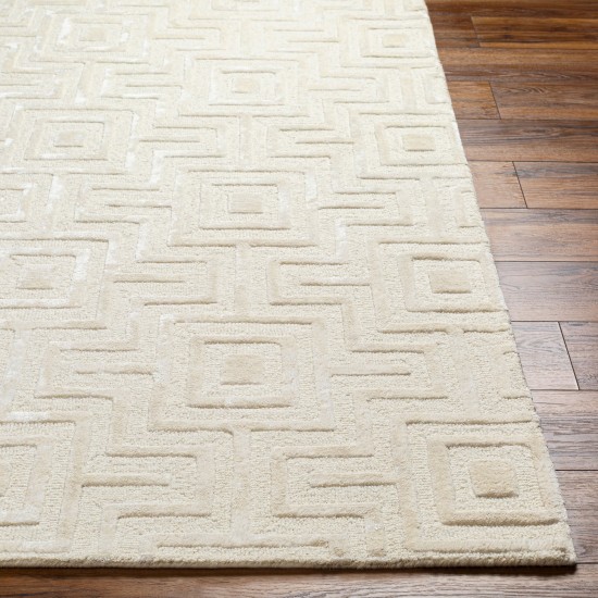 Surya Addison Add-2300 Rug 2' X 3'