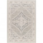 Surya Addyson Ayo-2303 Rug 2' X 3'