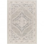 Surya Addyson Ayo-2303 Rug 9' X 12'