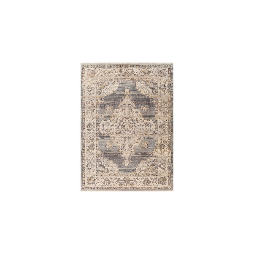 Surya Aida Aad-2300 Rug 2' X 2'11"