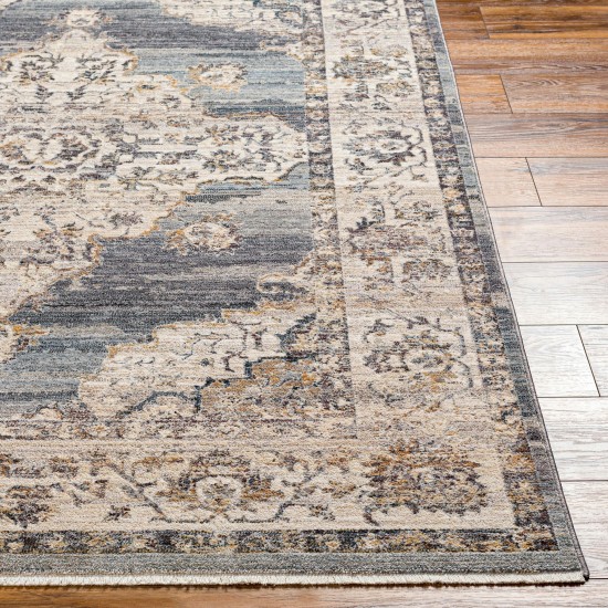 Surya Aida Aad-2300 Rug 2'7" X 4'11"