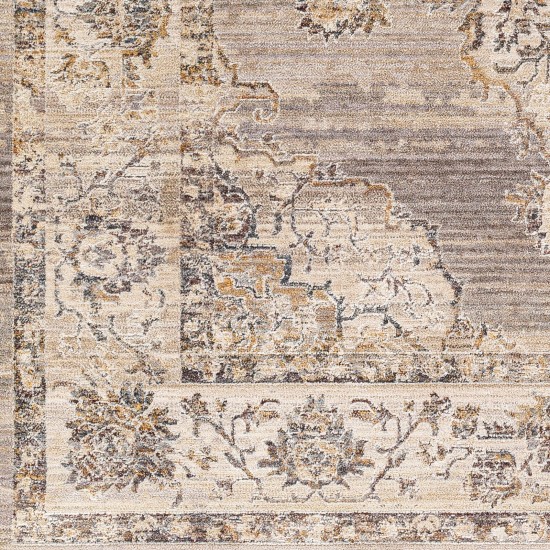 Surya Aida Aad-2301 Rug 2' X 2'11"