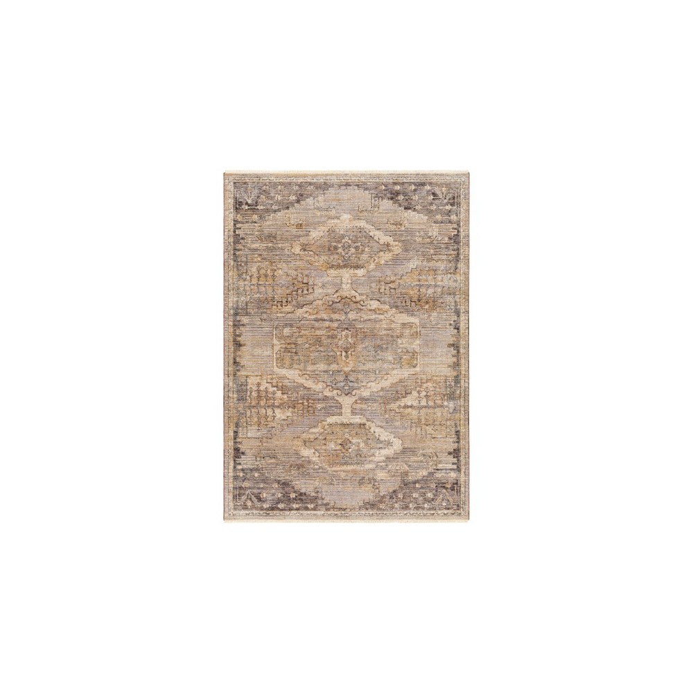 Surya Aida Aad-2303 Rug 2'7" X 4'11" Surya Aida Aad-2303 Rug 2'7" X 4'11"