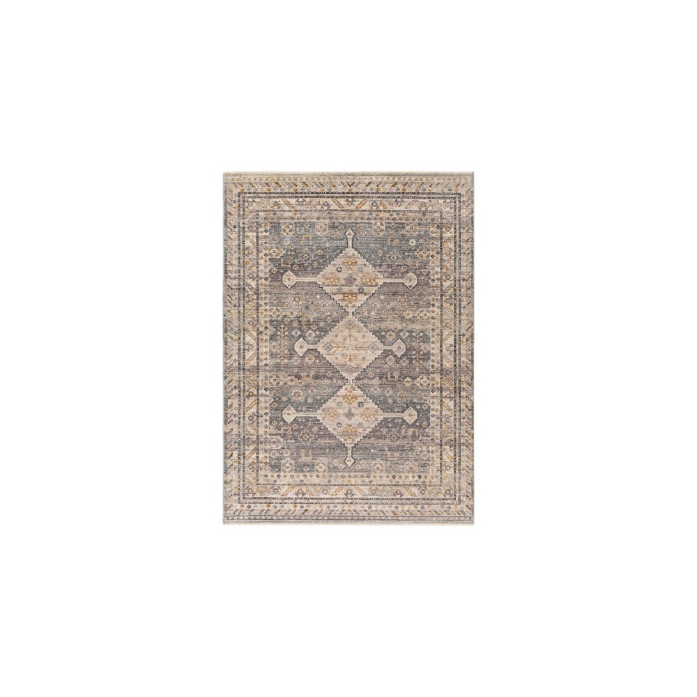 Surya Aida Aad-2305 Rug 2' X 2'11"