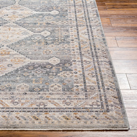 Surya Aida Aad-2305 Rug 2'7" X 9'