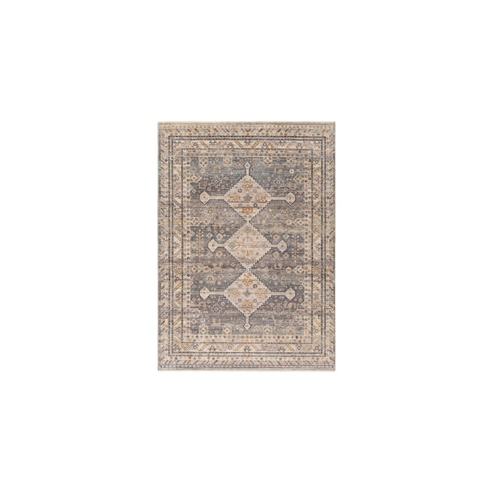 Surya Aida Aad-2305 Rug 3'11" X 5'10" Surya Aida Aad-2305 Rug 3'11" X 5'10"
