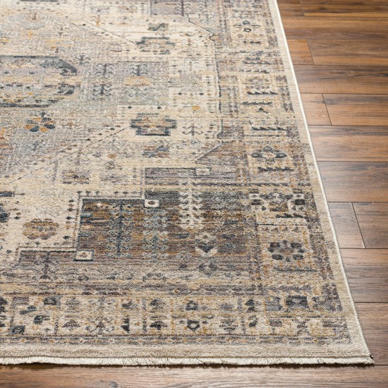 Surya Aida Aad-2307 Rug 2' X 2'11"