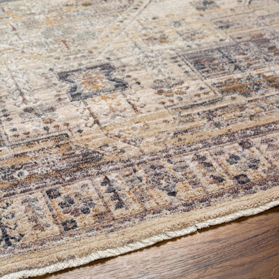 Surya Aida Aad-2307 Rug 2' X 2'11"