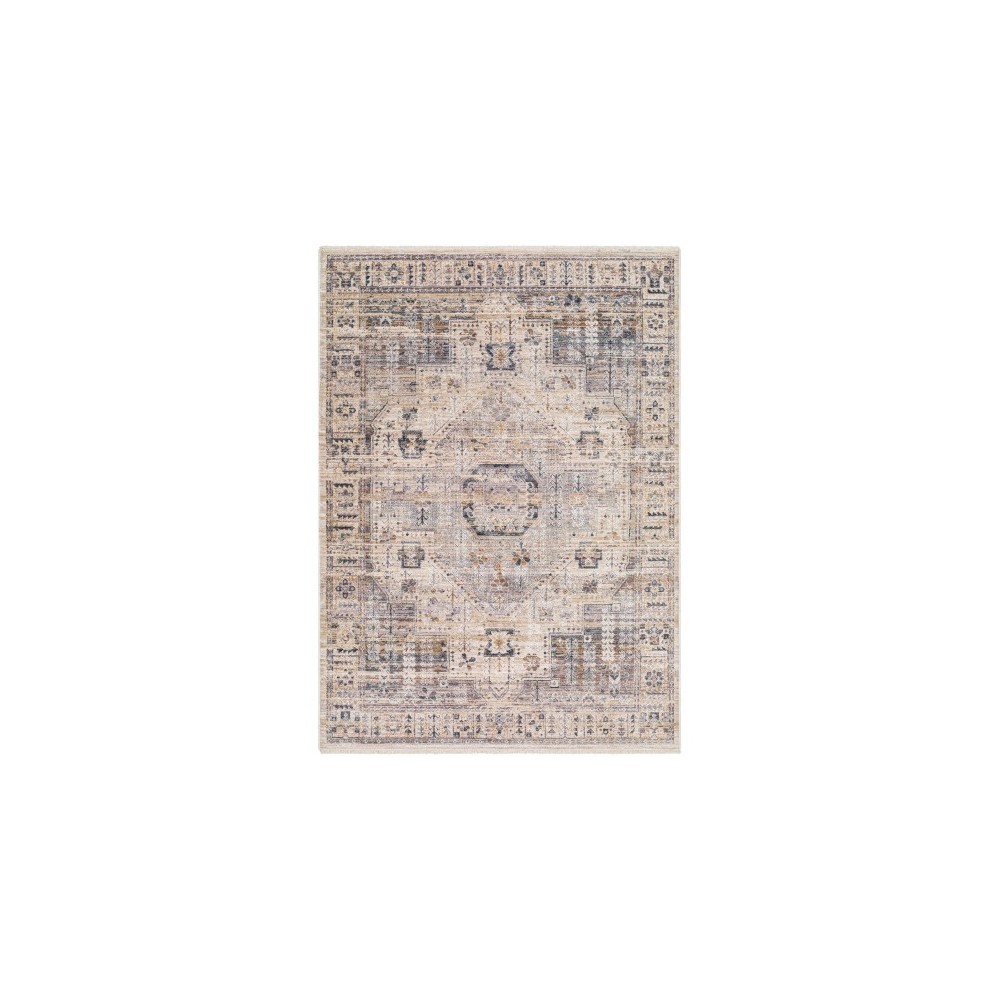 Surya Aida Aad-2307 Rug 2'7" X 4'11"